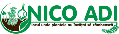 logo-nico-adi.png